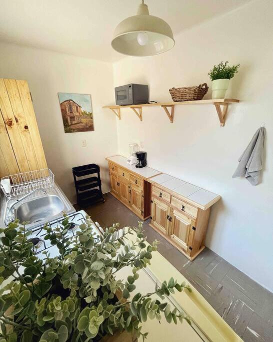 ¡bienvenido A Olivo! Apartamento