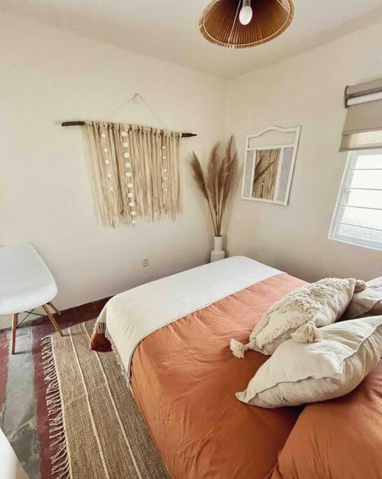 Apartamento ¡bienvenido A Olivo! *