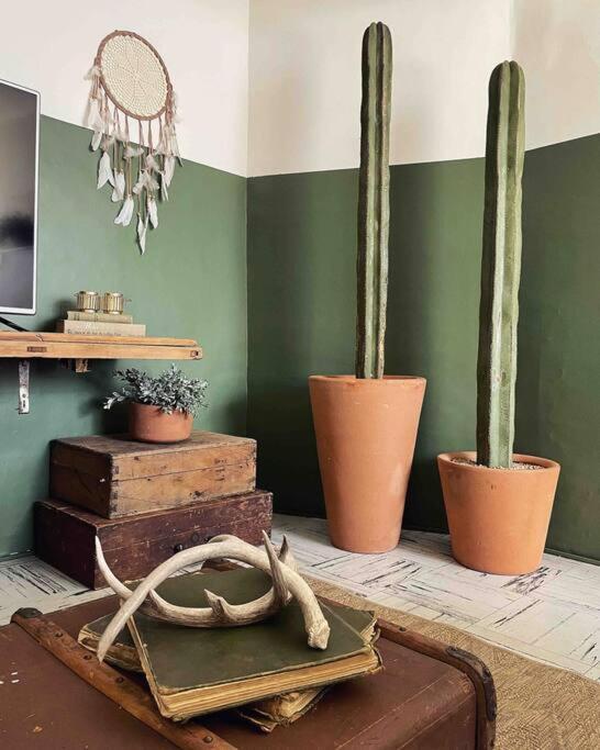 Apartamento ¡bienvenido A Olivo! *